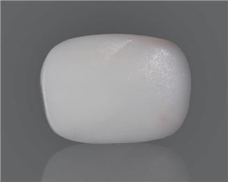 Natural White Coral  11.55 CTS (50260)